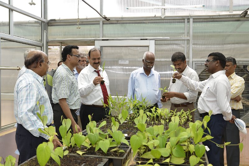 03Apr2014_00040 (195).JPG